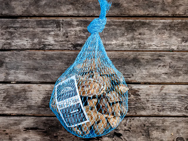 Blue Pool Oysters - Image 3