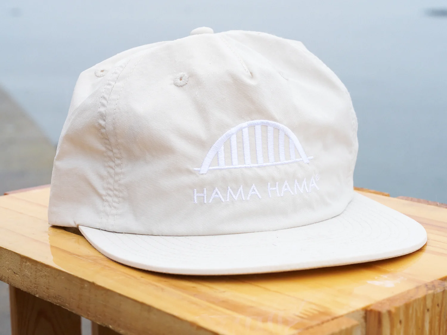 Bridge Logo Surf Cap - Image 4